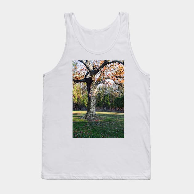 Autumn Trunk Tank Top by andykazie